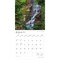 New York Wild & Scenic | 2026 12 x 24 Inch (Hanging) Monthly Square Wall Calendar | Plastic-Free